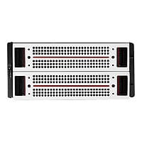 Veritas Access 3340 Expansion Storage Shelf - hard drive array