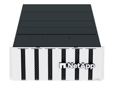 NetApp AFF C-Series AFF-C800 - NAS server