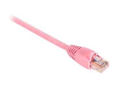 Black Box 1ft Cat5 CAT5e 350mhz Pink UTP PVC Snagless Patch Cable 10'