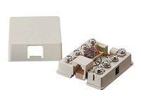 Leviton Type 625A2 surface mount box