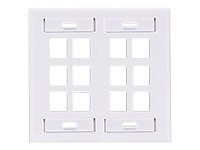 Leviton QuickPort Dual-Gang With Designation ID Windows - mounting plate