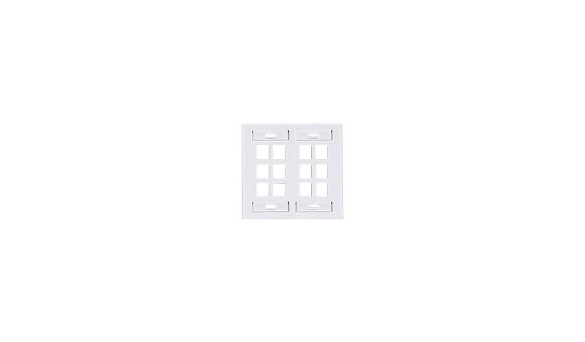 Leviton Quickport 12 port wallplate with ID