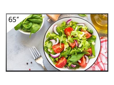 Sony Bravia Professional Displays FW-65BZ35L BZ35L Series - 65" LED-backlit