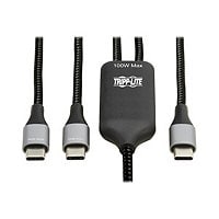Tripp Lite USB-C Charging Cable/Splitter (M/2xM) - 100W PD Charging, 6 ft.
