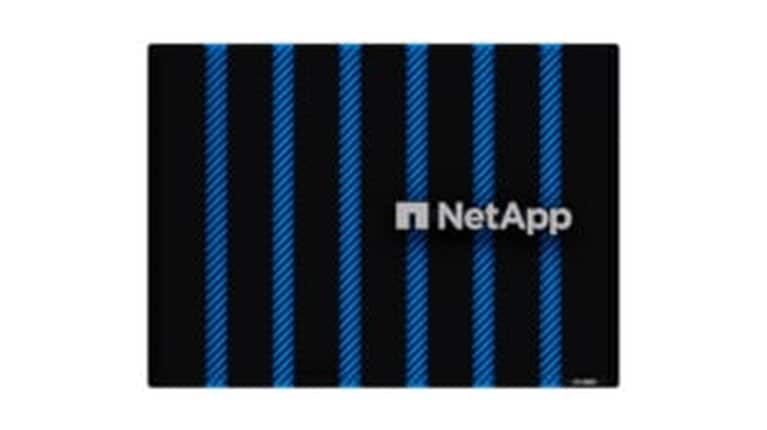 NetApp ASA A900 100G High Availability (HA) Control Enclosure