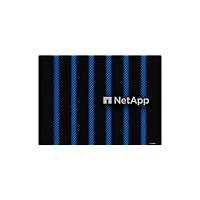 NetApp ASA A900 100G High Availability (HA) Control Enclosure