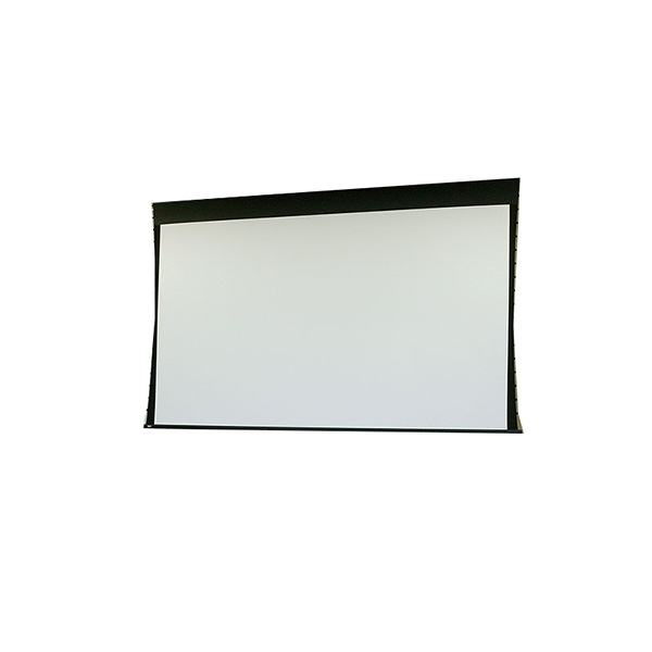 Draper Access V 165" Electric Projection Screen