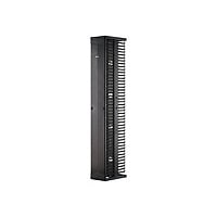 Panduit PatchRunner 2 Dual Sided Manager - rack cable management panel (vertical) - 52U