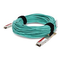Proline 100GBase-AOC direct attach cable - TAA Compliant - 20 m