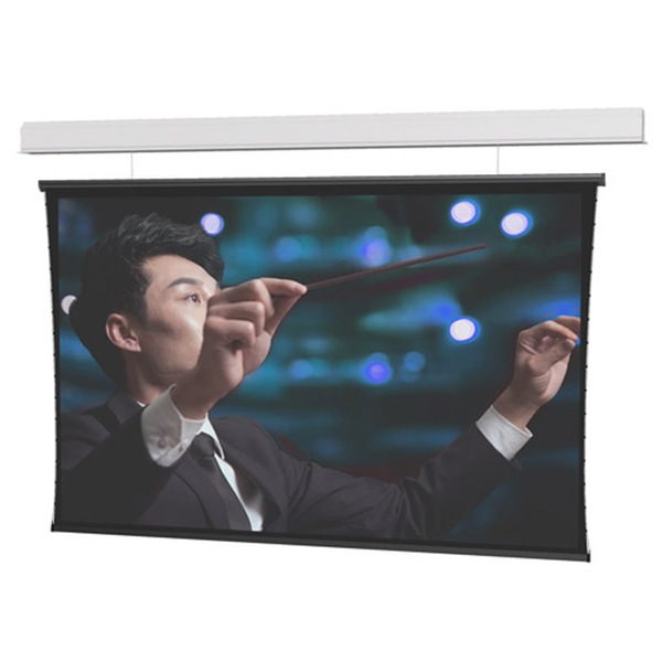 Da-Lite Wireline Advantage Series Projection Screen - 226in Screen