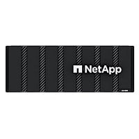 NetApp ASA C800 High Availability (HA) All-Flash SAN Storage System
