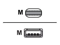Compulocks Lightning cable - 3 ft
