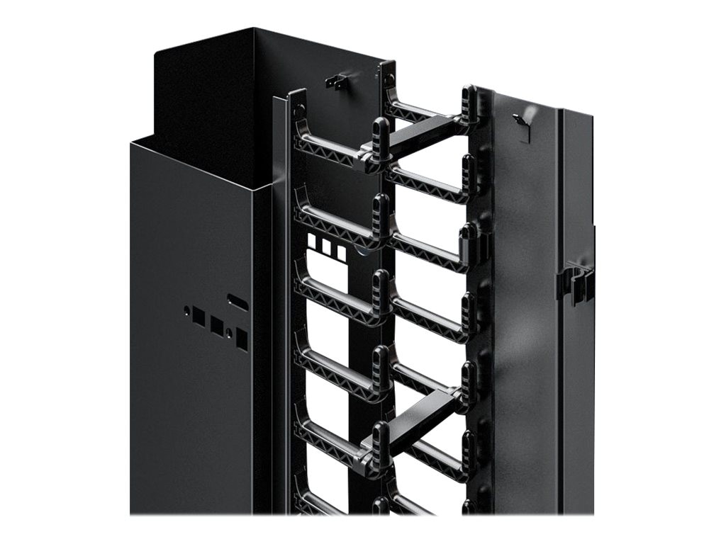 Rittal VX IT - cable duct - 42U