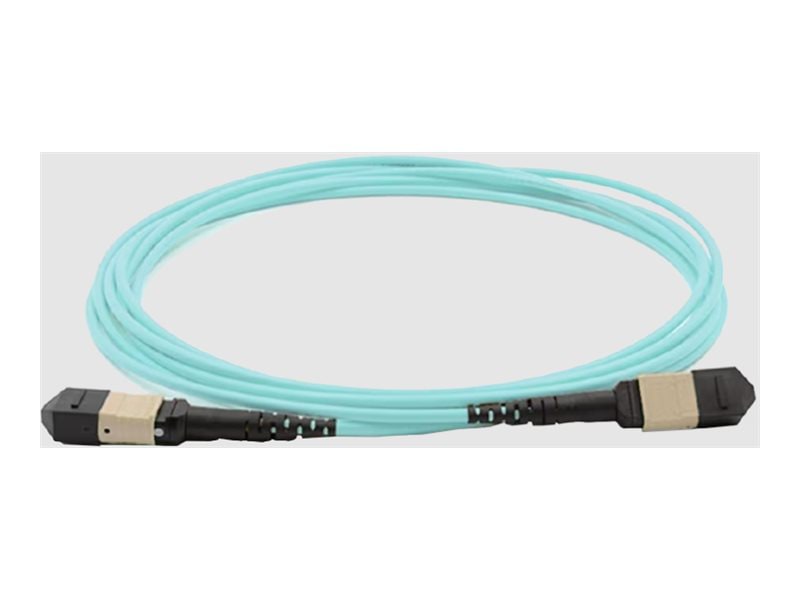 Cisco trunk cable - 4 m