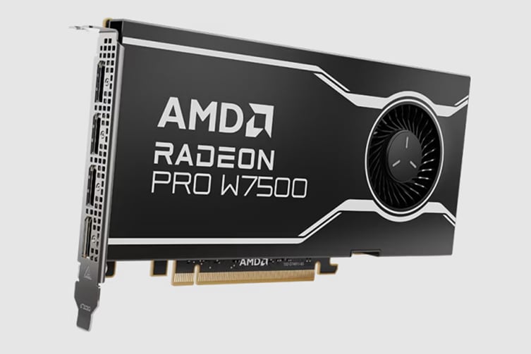 AMD Radeon Pro W7500 - graphics card - Radeon Pro W7500 - 8 GB