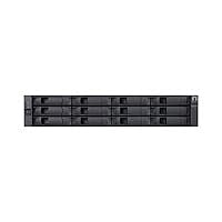 NetApp StorageShelf DS212C - storage enclosure