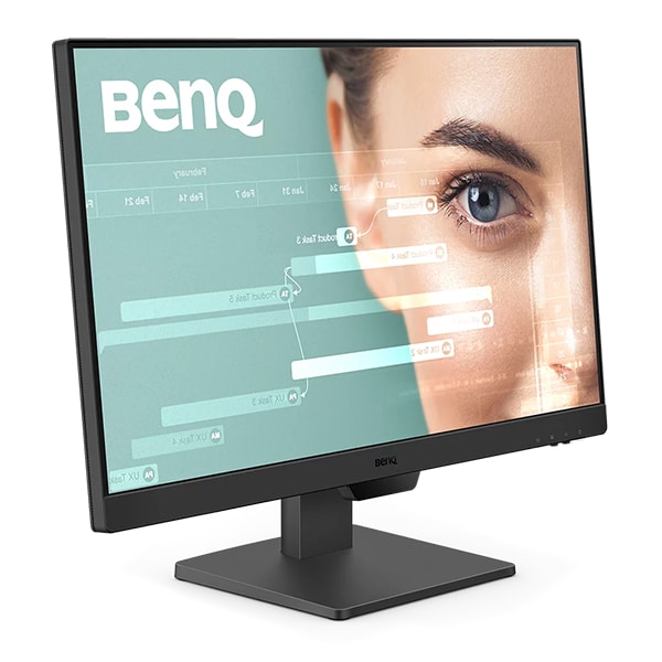 BenQ GW2490 24" Class Full HD LED Monitor - 16:9 - Black