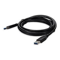 Proline - USB cable - USB Type A to USB Type A - 6 ft