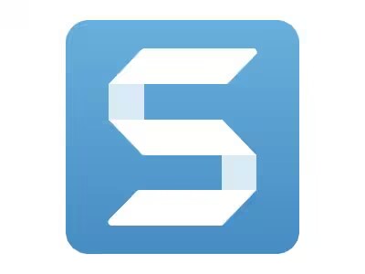 Snagit 2024 - license + 3 Years Maintenance - 10 - 24 Users