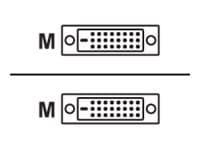 Black Box 3' DVI-D Male to DVI-D Male Cable