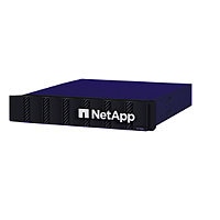 NetApp ASA C250 All-Flash Storage System with 8x15.3TB NVMe SSD