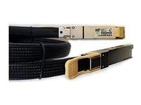 Cisco 200GBase-CR4 direct attach cable - 10 ft