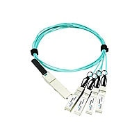 Axiom 40GBase-AOC direct attach cable - 1 m