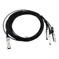 Axiom direct attach cable - 10 ft