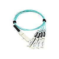 Axiom Ethernet 40GBase-AOC cable - 1 m