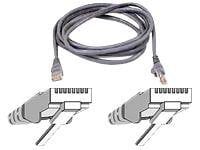 Belkin patch cable - 100 ft - gray