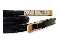 Cisco 400GBase-CU direct attach cable - 1.6 ft