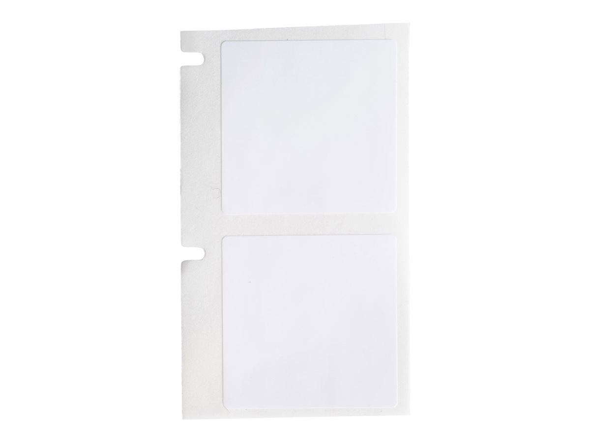 Brady WorkHorse Series - labels - glossy - 250 label(s) - 25.4 x 25.4 mm