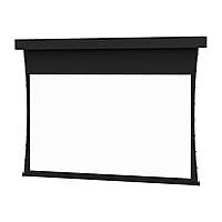 Da-Lite Tensioned Professional Electrol projection screen - 226" (226 in)