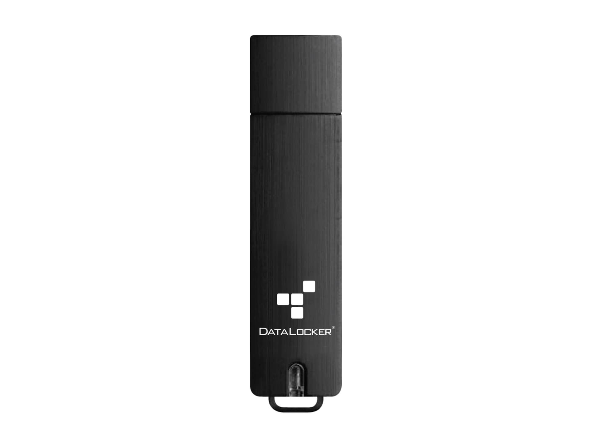 DataLocker Sentry 5 - USB flash drive - 256 GB - TAA Compliant