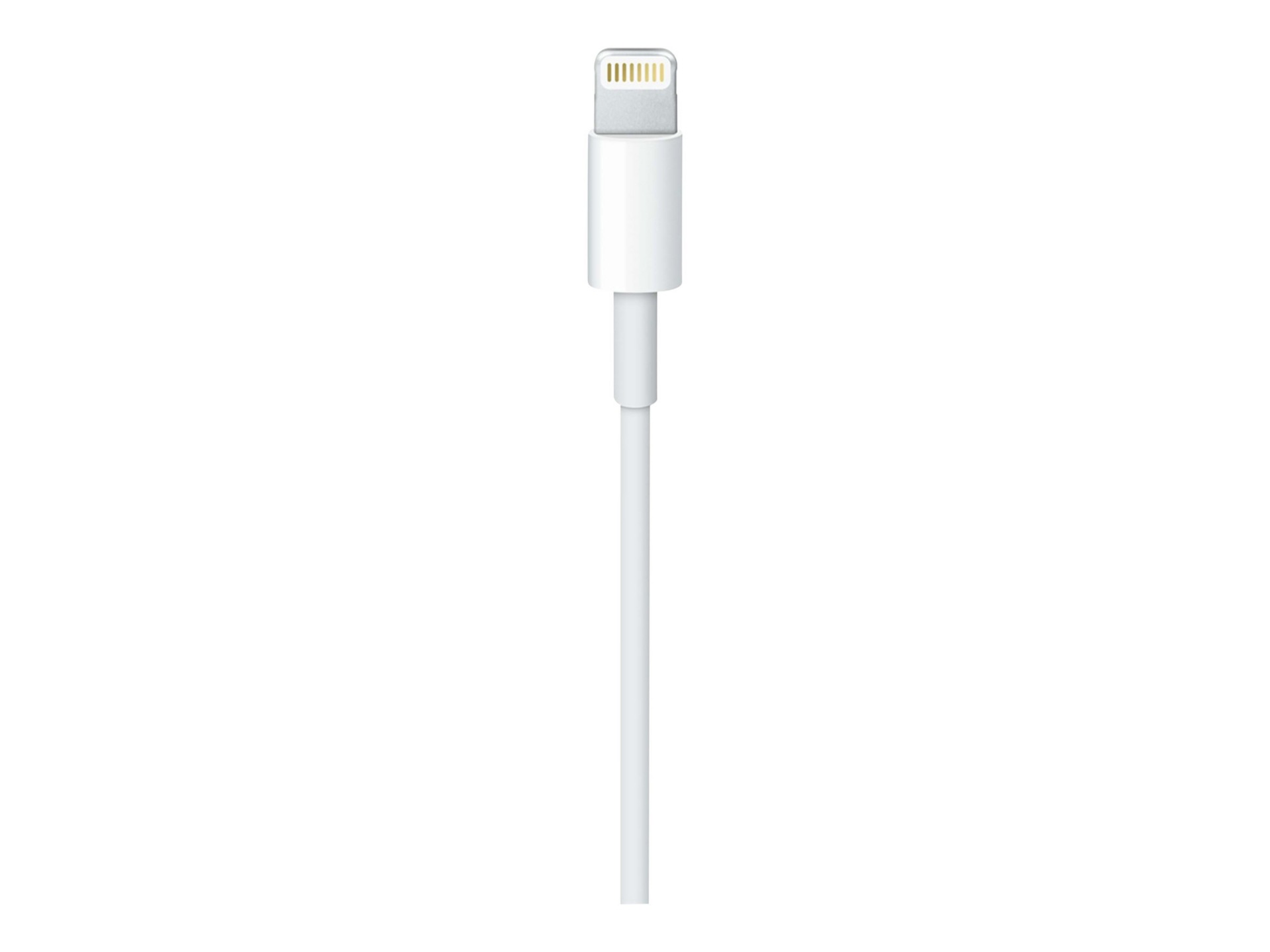 Apple Lightning to USB-C Cable