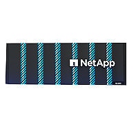 NETAPP ASA-A400 HA SYSTEM