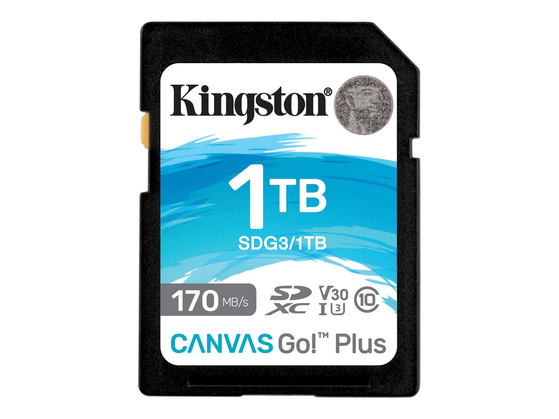Kingston Canvas Go! Plus - flash memory card - 1 TB - SDXC UHS-I