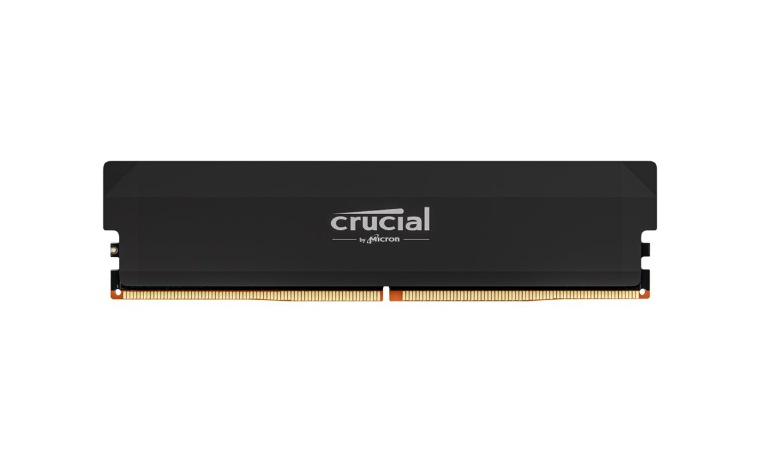 Crucial Pro - Overclocking Edition - DDR5 - module - 16 GB - DIMM