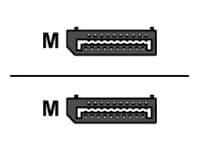 Proline - DisplayPort cable - DisplayPort to DisplayPort - 3.3 ft