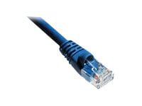 Axiom patch cable - 10 ft - blue