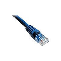 Axiom patch cable - 10 ft - blue
