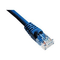 Axiom patch cable - 4 ft - blue