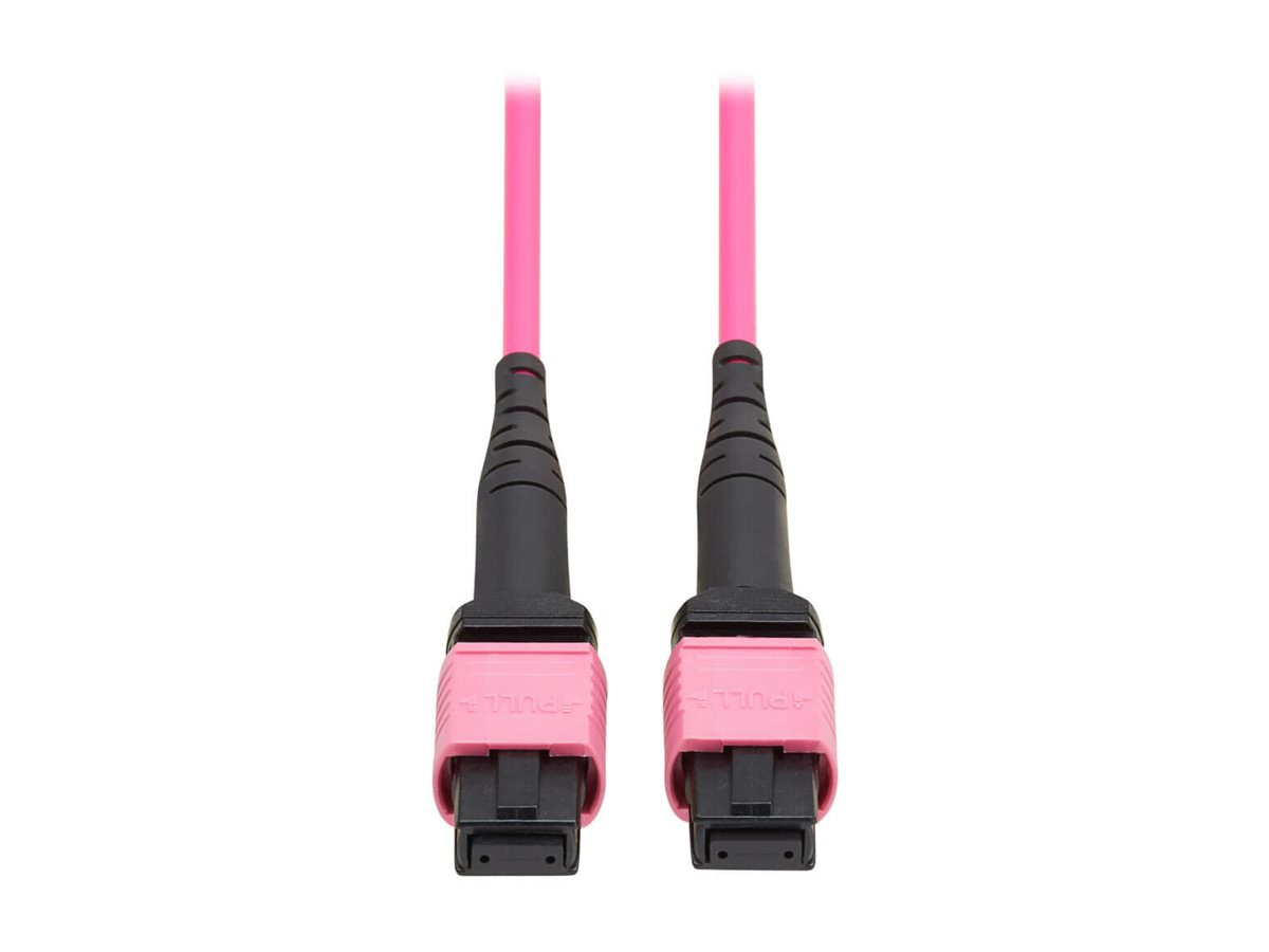 Eaton Tripp Lite Series 100G Multimode 50/125 OM4 Fiber Optic Cable (12F MTP/MPO-PC F/F), OFNP, Magenta, 1 m (3.3 ft.),