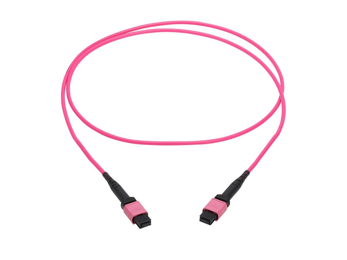 Eaton Tripp Lite Series 100G Multimode 50/125 OM4 Fiber Optic Cable (12F MT