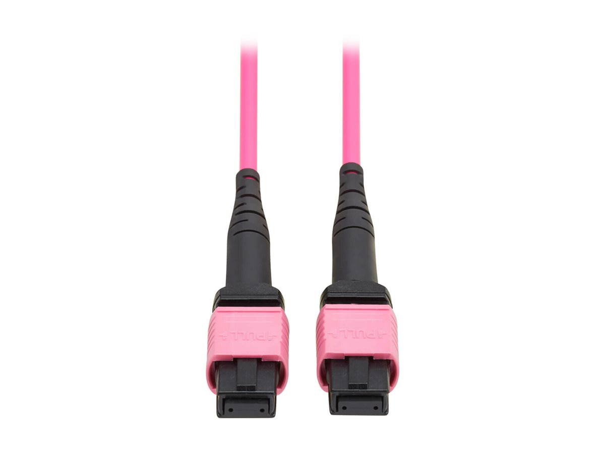 Eaton Tripp Lite Series 100G Multimode 50/125 OM4 Fiber Optic Cable (12F MTP/MPO-PC F/F), OFNP, Magenta, 3 m (9.8 ft.),