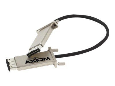 Axiom patch cable - 1.6 ft