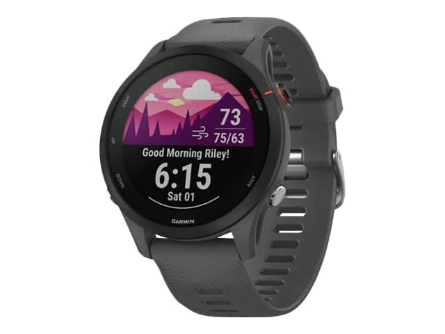 Garmin Forerunner 255 - gray - sport watch with strap - slate gray - 4 GB