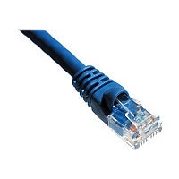 Axiom patch cable - 100 ft - blue