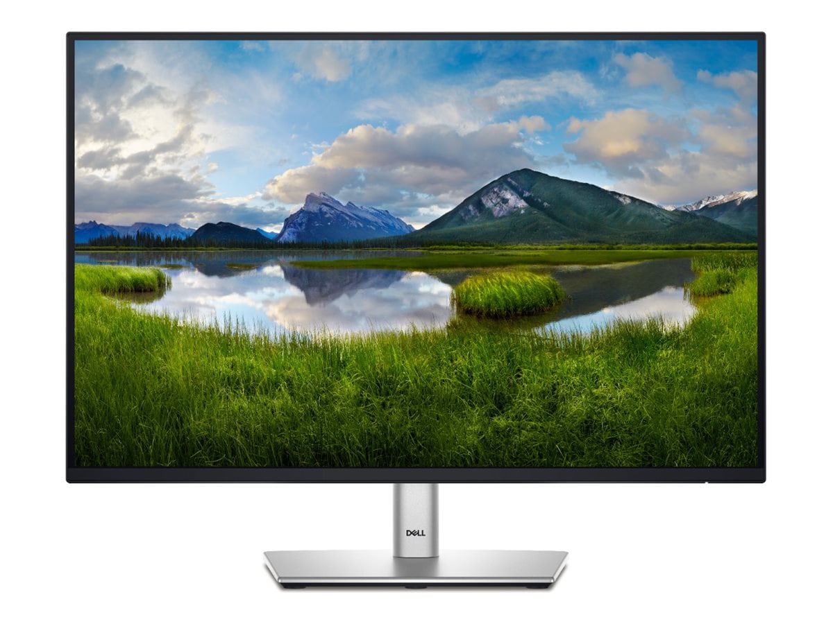 Dell P2425E - LED monitor - 24"