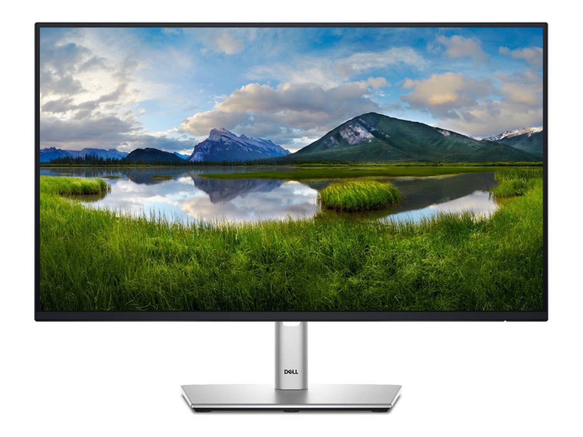 Dell P2425H - LED monitor - Full HD (1080p) - 24"